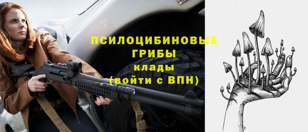 ешки Алексеевка