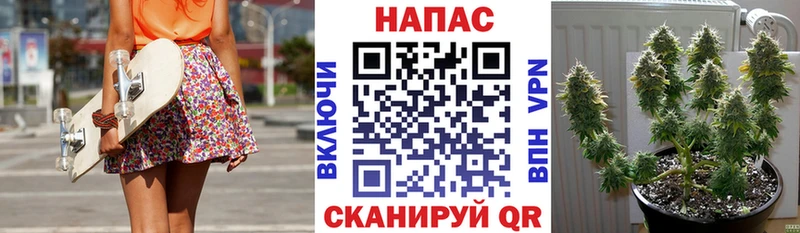 как найти закладки Льгов Бошки Шишки SATIVA & INDICA